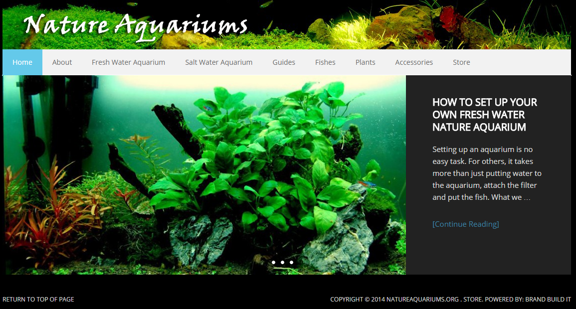 Next Project: How To Build Aquarium Website